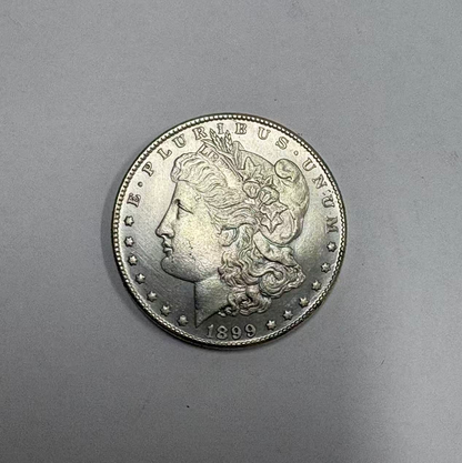 Morgan Silver Dollar (Pre 1921 Morgan Silver Dollar 1878 to 1899